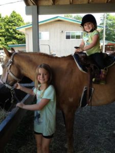 horses pony ride langley 204