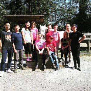 summer horse camp 204
